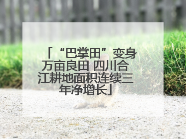 “巴掌田”变身万亩良田 四川合江耕地面积连续三年净增长